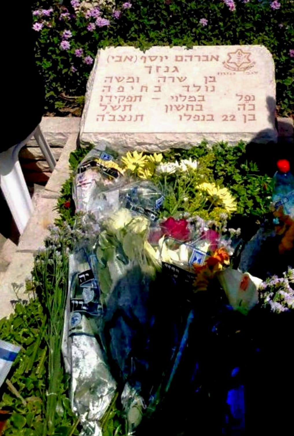 תמונה של WhatsApp‏ 2025-03-16 בשעה 22.46.27_7ca1d2eb