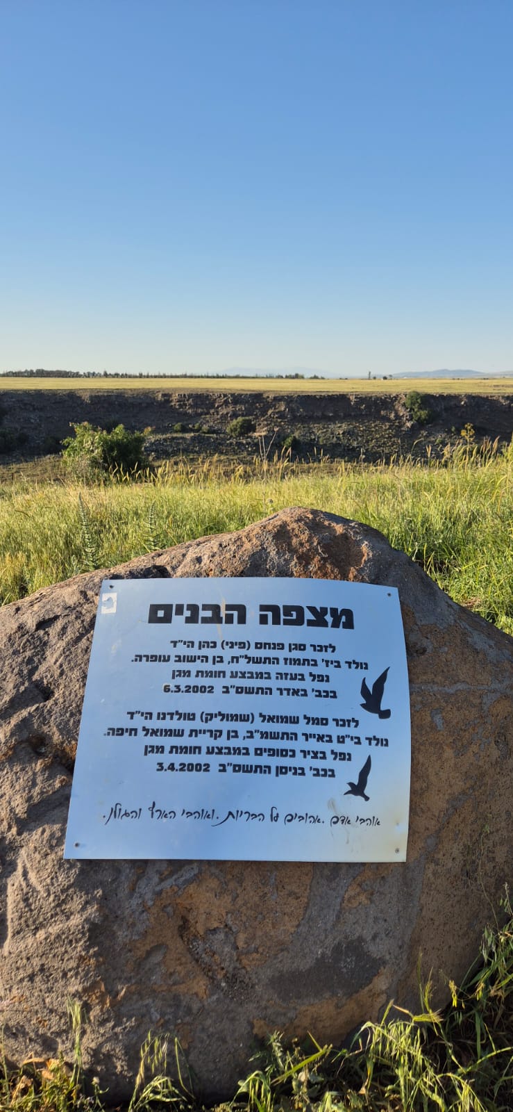 תמונה של WhatsApp‏ 2025-04-29 בשעה 08.42.21_aa70df9b