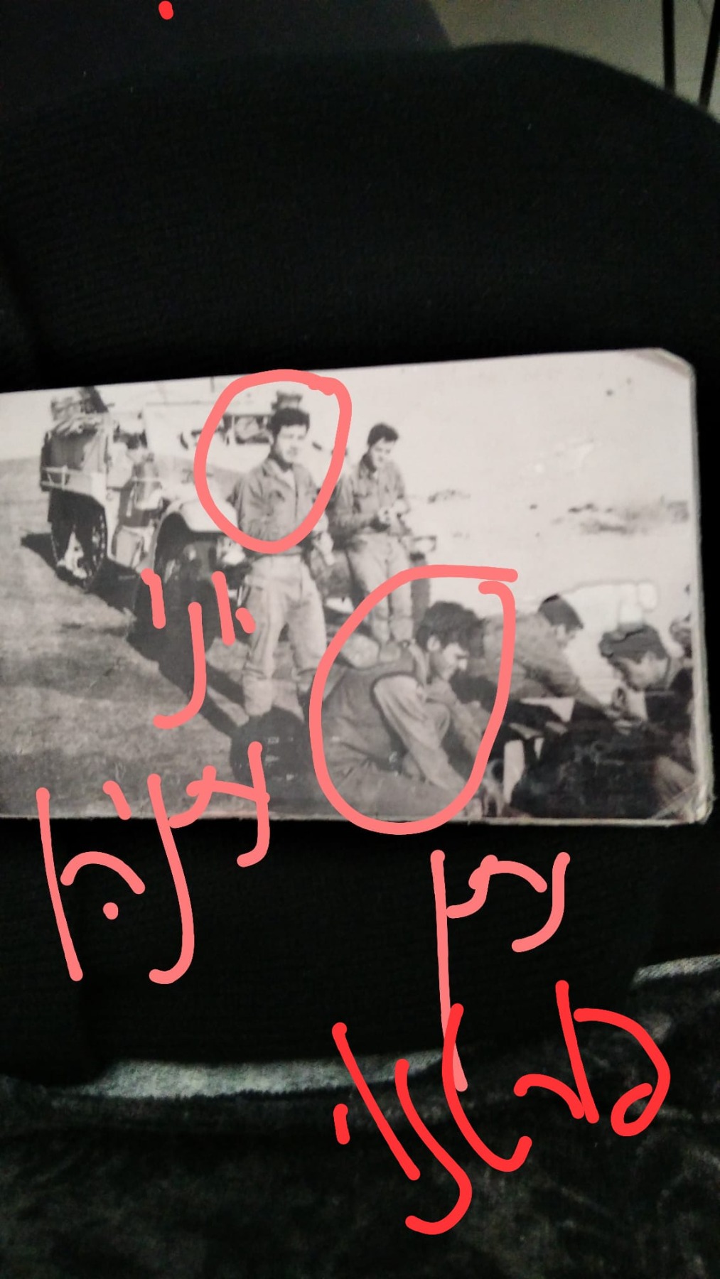 נתן פורטנוי2