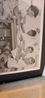 בראון3 (1)
